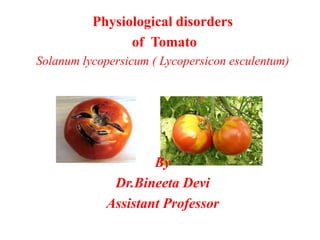 Physiological disorders
of Tomato
Solanum lycopersicum ( Lycopersicon esculentum)
By
Dr.Bineeta Devi
Assistant Professor
 