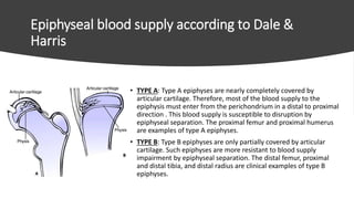 Epiphyseal blood supply according to Dale &
Harris
• TYPE A: Type A epiphyses are nearly completely covered by
articular cartilage. Therefore, most of the blood supply to the
epiphysis must enter from the perichondrium in a distal to proximal
direction . This blood supply is susceptible to disruption by
epiphyseal separation. The proximal femur and proximal humerus
are examples of type A epiphyses.
• TYPE B: Type B epiphyses are only partially covered by articular
cartilage. Such epiphyses are more resistant to blood supply
impairment by epiphyseal separation. The distal femur, proximal
and distal tibia, and distal radius are clinical examples of type B
epiphyses.
 