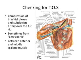 Checking for T.O.S
• Compression of
brachial plexus
and subclavian
artery over the 1st
rib
• Sometimes from
“cervical rib”
• Between anterior
and middle
scalene muscle
 