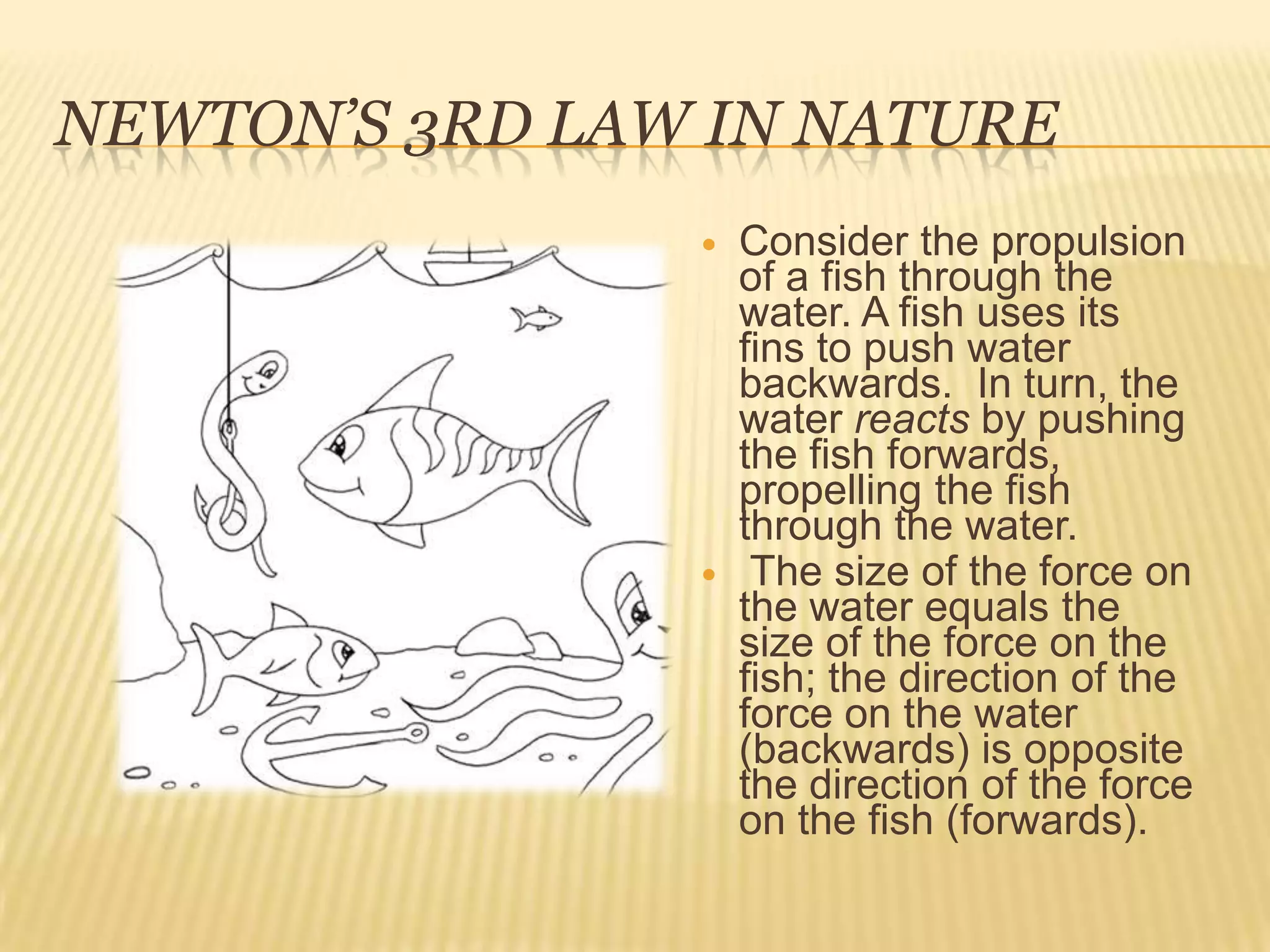 Newton’s 3rd Law in NatureConsider the propulsion of a fish through the water. A fish uses its fins to push water backwards.  In turn, the water reacts by pushing the fish forwards, propelling the fish through the water.