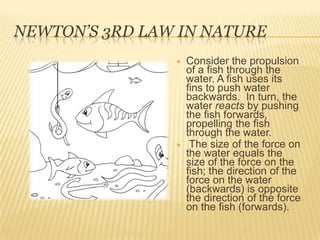 Newton’s 3rd Law in NatureConsider the propulsion of a fish through the water. A fish uses its fins to push water backwards.  In turn, the water reacts by pushing the fish forwards, propelling the fish through the water.