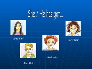 She / He has got... Long hair Curly hair Red hair Fair Hair 