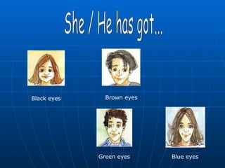 She / He has got... Black  eyes Brown eyes Green eyes Blue eyes  