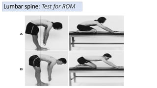 Physical-Assessment-musculoskeletal-neurologic-genitalia-2.pdf
