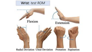 Rom Test Physical-Assessment-musculoskeletal-neurologic-genitalia-2.pdf