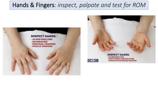 Physical-Assessment-musculoskeletal-neurologic-genitalia-2.pdf