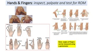 Physical-Assessment-musculoskeletal-neurologic-genitalia-2.pdf