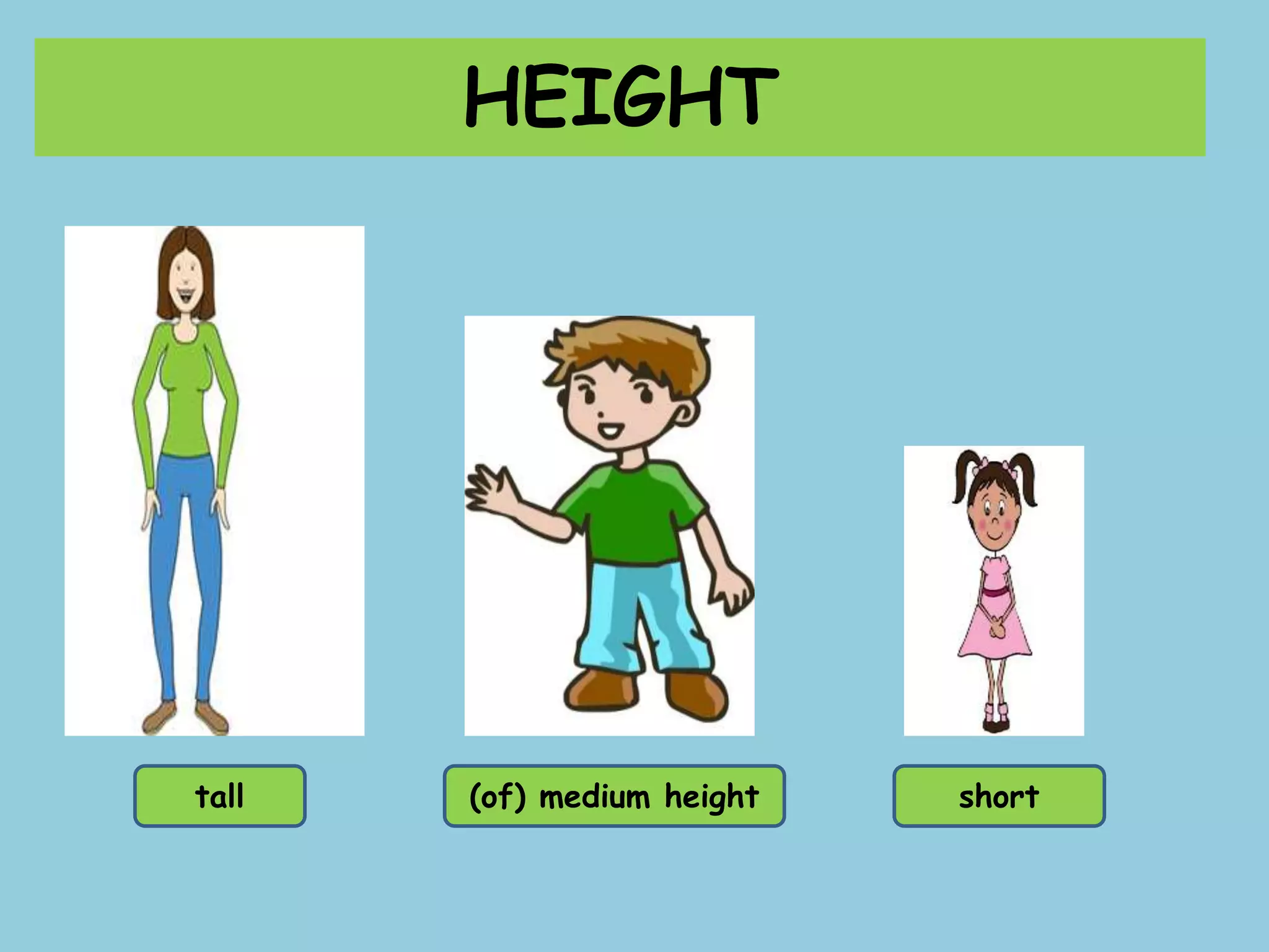 HEIGHT
tall (of) medium height short