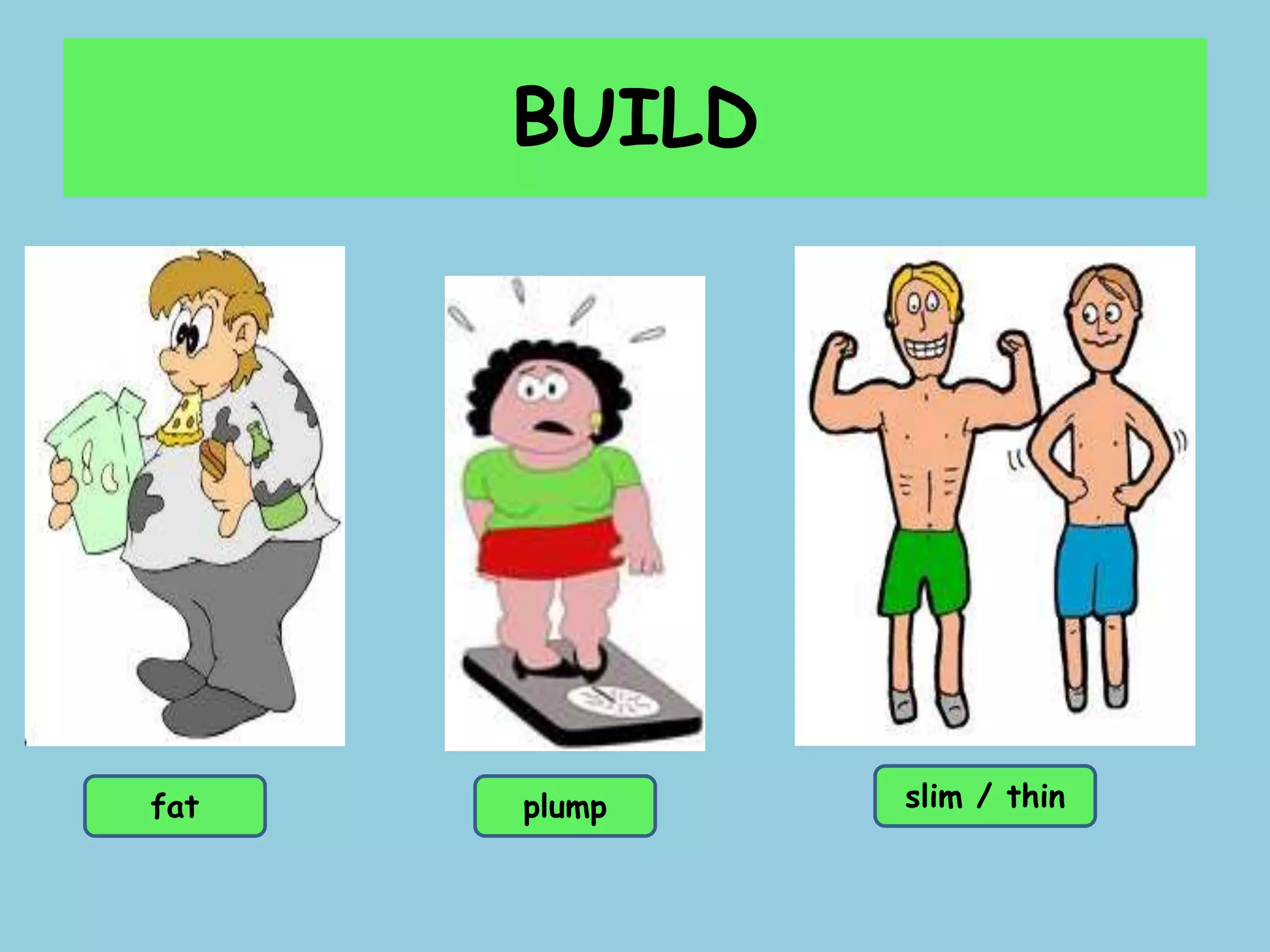 BUILD
fat plump slim / thin