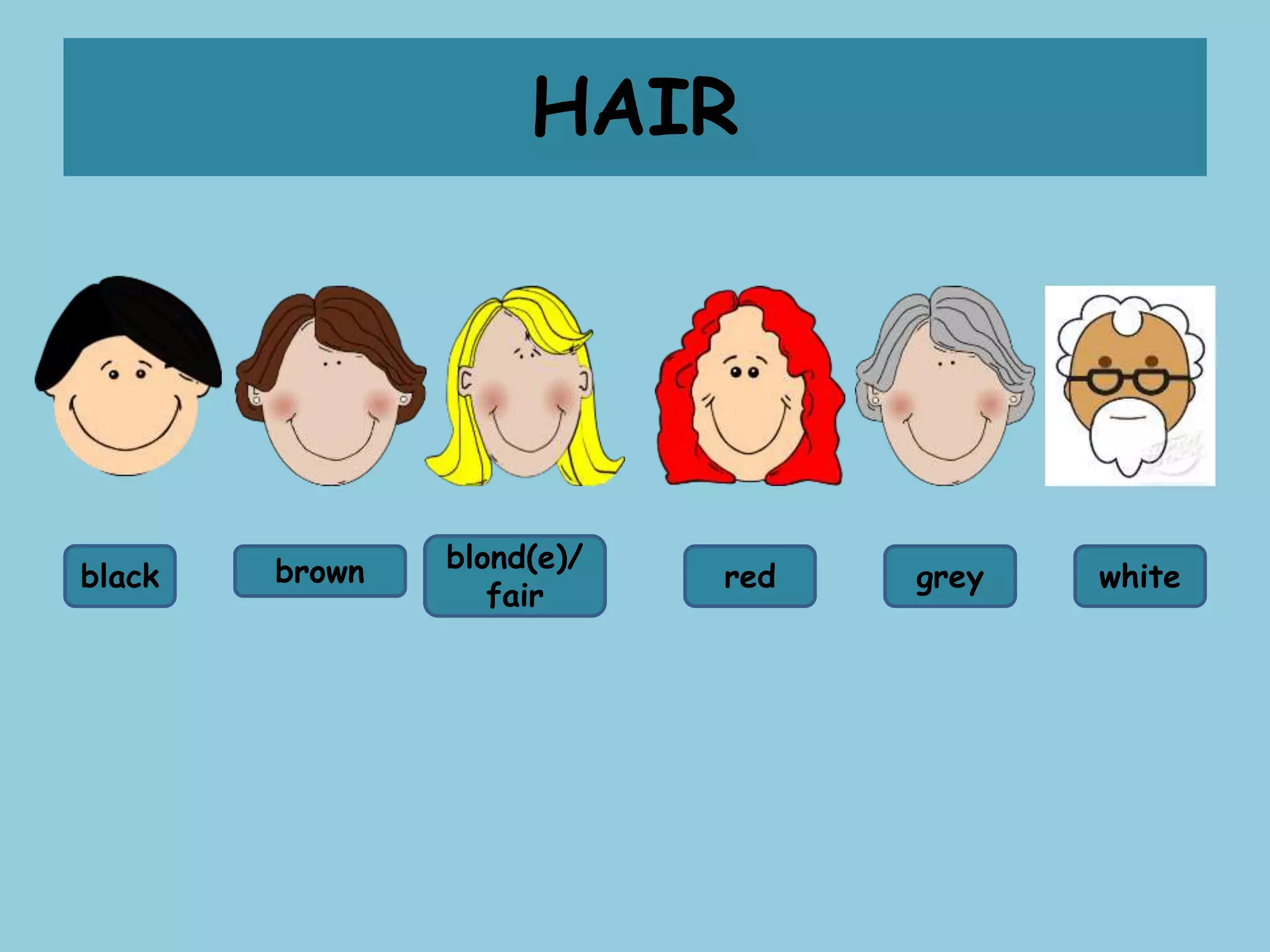 HAIR
black brown blond(e)/
fair
red grey white