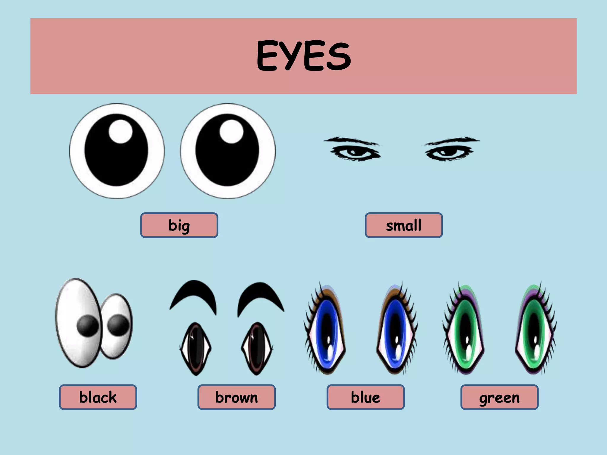 EYES
black brown blue green
big small