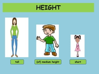 HEIGHT
tall (of) medium height short
 