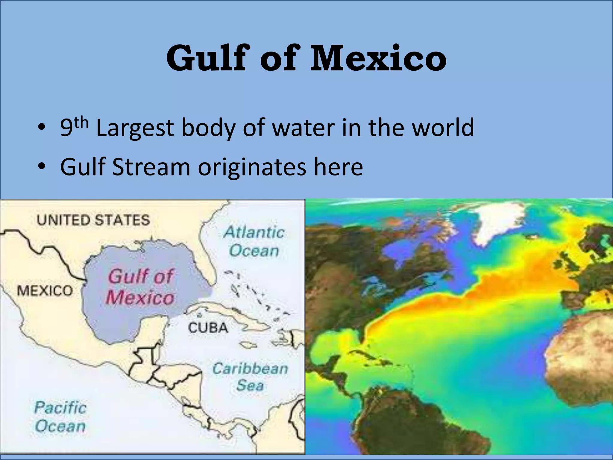 Gulf of Mexico
• 9th Largest body of water in the world
• Gulf Stream originates here
