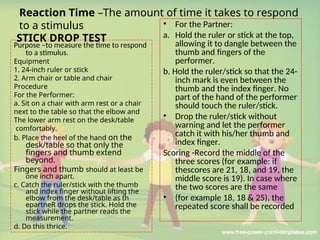 Ruler Drop Test Example Comprehensive Guide to Physical Fitness Testing for Students | PPT
