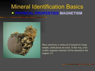 Mineral Identification Basics PHYSICAL PROPERTIES  MAGNETISM   More sensitivity is achieved if instead of a large sample, small pieces are used.  In this way, even weakly magnetic minerals will be attracted to the magnet. (*) 