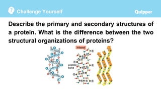 Physical-Science-SHS-8.1-Proteins.pptx