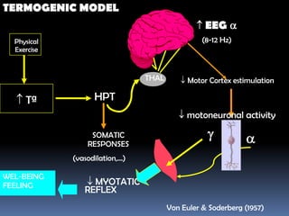 TERMOGENIC MODEL
                                                    EEG
  Physical                                         (8-12 Hz)
  Exercise


                                  THAL        Motor Cortex estimulation

     Tª             HPT
                                              motoneuronal activity

                   SOMATIC
                  RESPONSES
             (vasodilation,...)

WEL-BEING
FEELING            MYOTATIC
                 REFLEX
                                         Von Euler & Soderberg (1957)
 