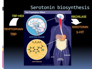 Serotonin biosynthesis
    TRP HIDROXILASE           5-HTTP DESCARBOXILASE


              5-HIDROXITRYPTOPHAN         SEROTONIN
TRYPTOPHAN
                      5-HTP                 5-HT
   TRP
 