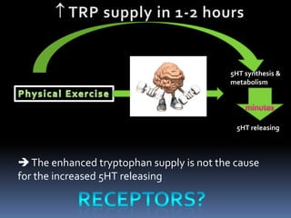 5HT synthesis &
                                           metabolism




                                            5HT releasing



 The enhanced tryptophan supply is not the cause
for the increased 5HT releasing
 