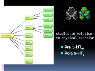 studied in relation
to physical exercise

   Pre: 5-HT1A
   Post: 5-HT2
 