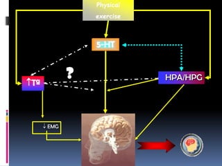 Physical
               exercise



               5-HT



Tª
           ?              HPA/HPG




     EMG
 