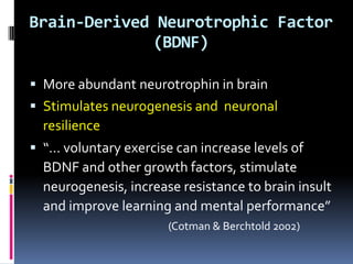 Brain-Derived Neurotrophic Factor
             (BDNF)

 More abundant neurotrophin in brain
 Stimulates neurogenesis and neuronal
  resilience
 “… voluntary exercise can increase levels of
  BDNF and other growth factors, stimulate
  neurogenesis, increase resistance to brain insult
  and improve learning and mental performance”
                       (Cotman & Berchtold 2002)
 