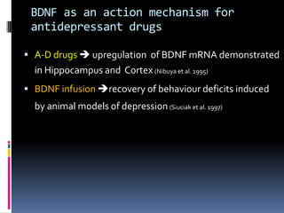 BDNF as an action mechanism for
 antidepressant drugs

 A-D drugs  upregulation of BDNF mRNA demonstrated
  in Hippocampus and Cortex (Nibuya et al. 1995)
 BDNF infusion recovery of behaviour deficits induced
  by animal models of depression (Siuciak et al. 1997)
 