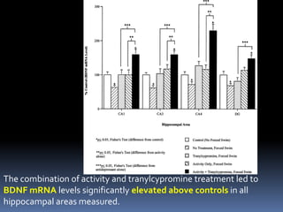 The combination of activity and tranylcypromine treatment led to
BDNF mRNA levels significantly elevated above controls in all
hippocampal areas measured.
 