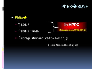 PhExBDNF

 PhEx
    BDNF                             In HPPC
                                 (Neeper et al. 1995; 1996)
    BDNF mRNA
    upregulation induced by A-D drugs
                       (Russo-Neustadt et al. 1999)
 