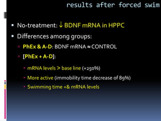 results after forced swim

 No-treatment:      BDNF mRNA in HPPC
 Differences among groups:
   PhEx & A-D: BDNF mRNA        CONTROL
   [PhEx + A-D]:

     mRNA levels > base line (+250%)
     More active (immobility time decrease of 89%)
     Swimming time +& mRNA levels
 