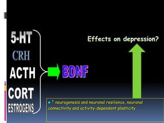   neurogenesis and neuronal resilience, neuronal
connectivity and activity-dependent plasticity
 