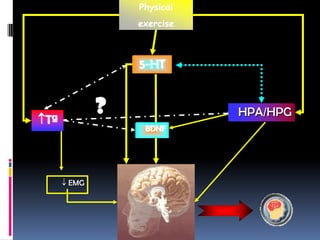 Physical
               exercise



               5-HT



Tª
           ?              HPA/HPG
                BDNF




     EMG
 