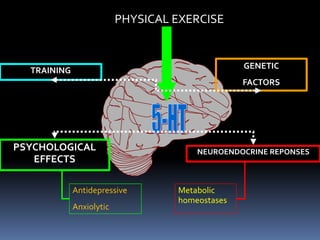 PHYSICAL EXERCISE


                                                 GENETIC
  TRAINING
                                                 FACTORS




PSYCHOLOGICAL                          NEUROENDOCRINE REPONSES
   EFFECTS

             Antidepressive        Metabolic
                                   homeostases
             Anxiolytic
 