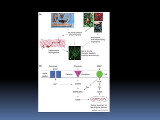 Physical activity and health