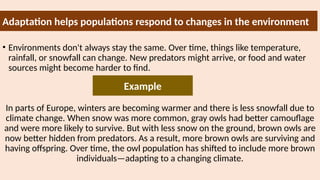 Environmental Adaptation Examples Physical Adaptations to the Environment - Copy ...