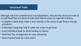 Physical Adaptations to the Environment - Copy ...