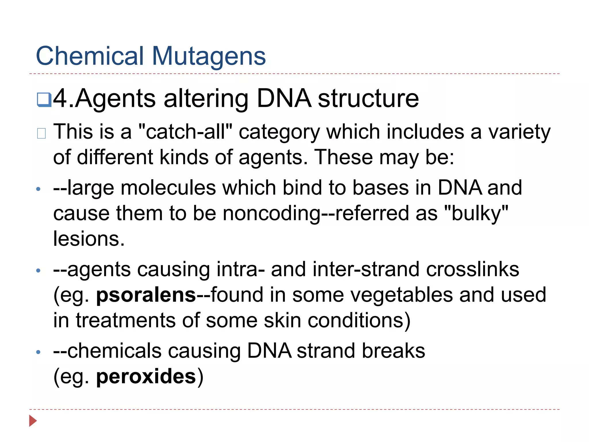 Physical and chemical mutagen copy | PPTX