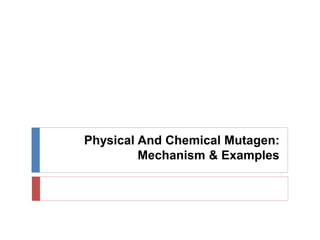 Physical And Chemical Mutagen:
Mechanism & Examples
 