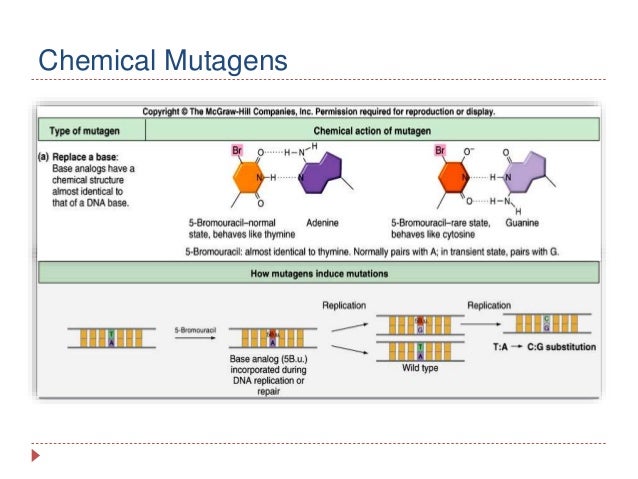 mutagens