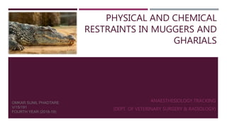 PHYSICAL AND CHEMICAL
RESTRAINTS IN MUGGERS AND
GHARIALS
ANAESTHESIOLOGY TRACKING
(DEPT. OF VETERINARY SURGERY & RADIOLOGY)
OMKAR SUNIL PHADTARE
V/15/191
FOURTH YEAR (2018-19)
 