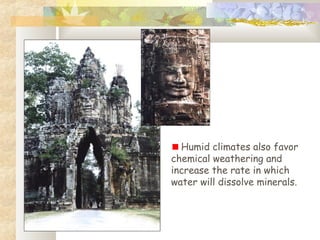 Humid climates also favor
chemical weathering and
increase the rate in which
water will dissolve minerals.
 