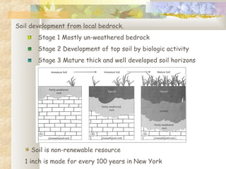 Soil development from local bedrock.
Stage 1 Mostly un-weathered bedrock
Stage 2 Development of top soil by biologic activity
Stage 3 Mature thick and well developed soil horizons
Soil is non-renewable resource
1 inch is made for every 100 years in New York
 