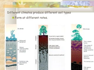 Different climates produce different soil types
Form at different rates.
 