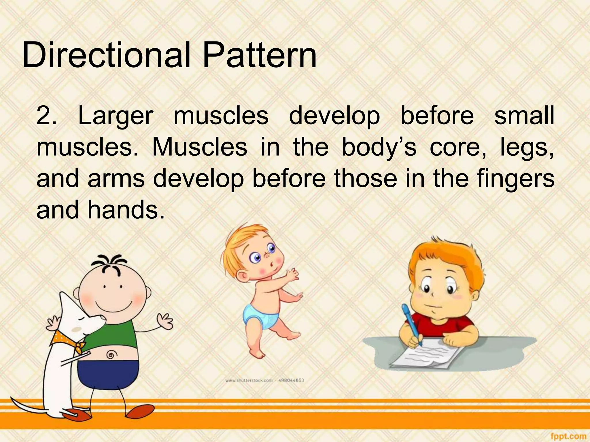 Directional Pattern
2. Larger muscles develop before small
muscles. Muscles in the body’s core, legs,
and arms develop before those in the fingers
and hands.
 
