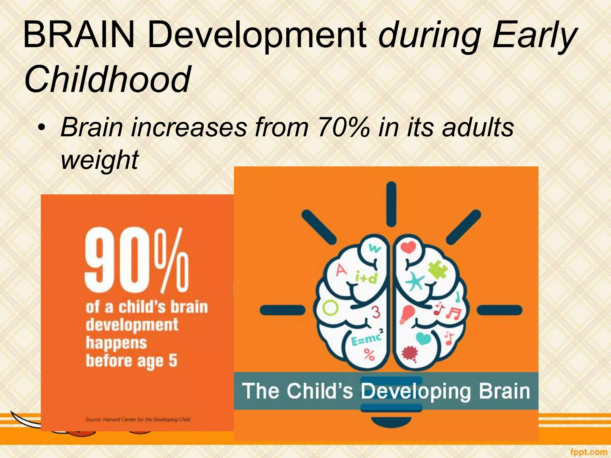 BRAIN Development during Early
Childhood
• Brain increases from 70% in its adults
weight
 