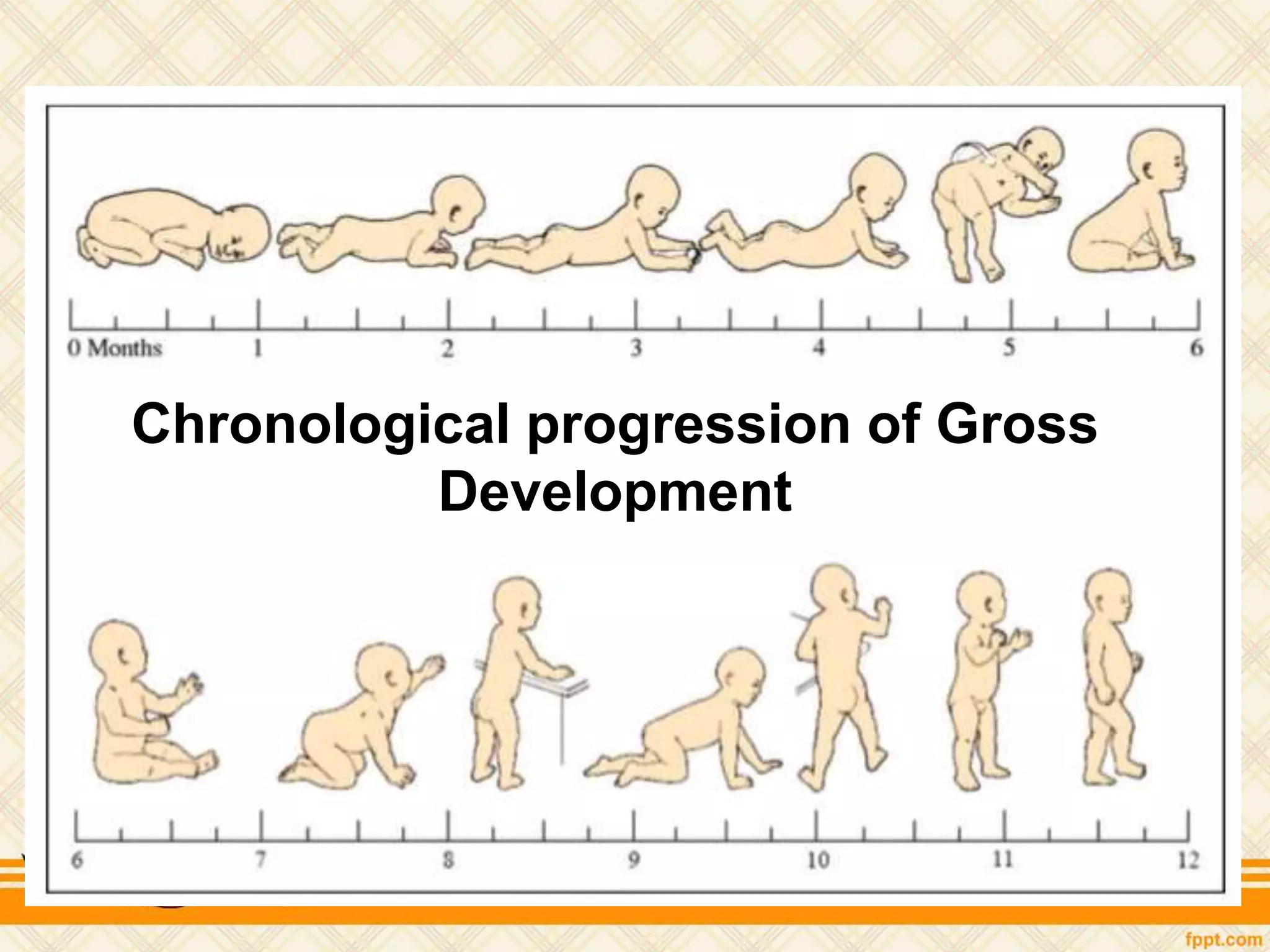 Chronological progression of Gross
Development
 