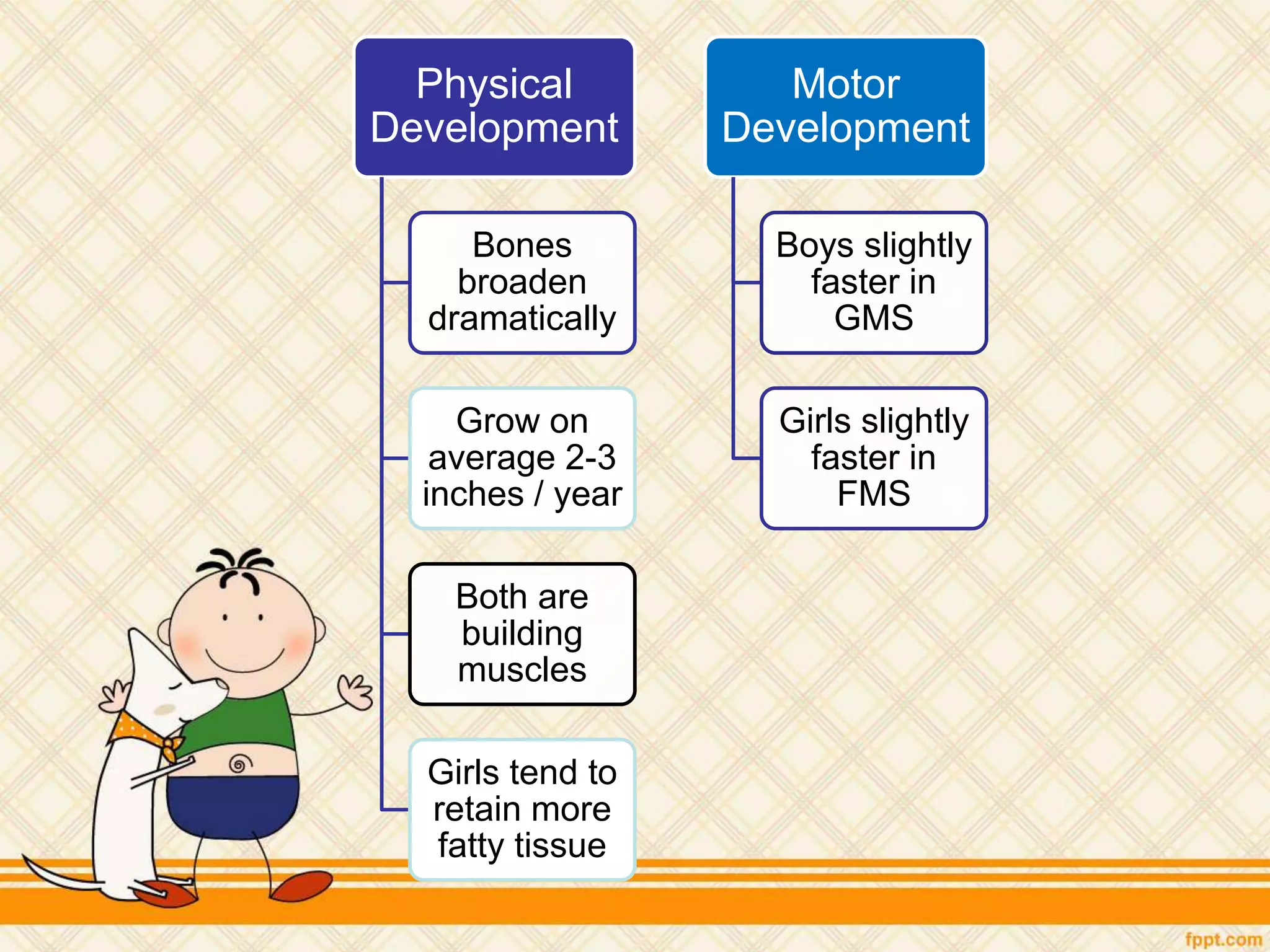 Physical
Development
Bones
broaden
dramatically
Grow on
average 2-3
inches / year
Both are
building
muscles
Girls tend to
retain more
fatty tissue
Motor
Development
Boys slightly
faster in
GMS
Girls slightly
faster in
FMS
 