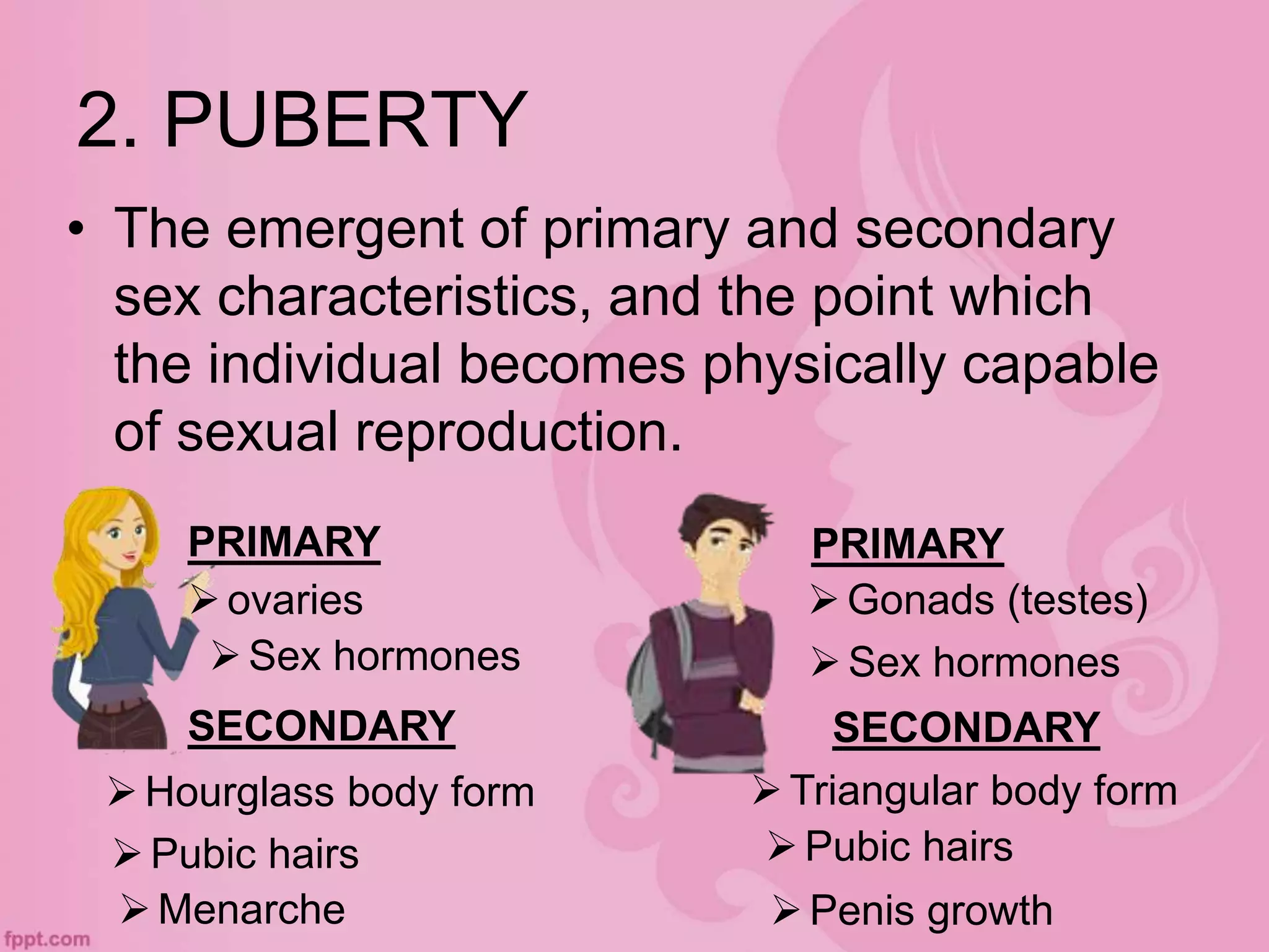 2. PUBERTY
• The emergent of primary and secondary
sex characteristics, and the point which
the individual becomes physically capable
of sexual reproduction.
ovaries Gonads (testes)
Sex hormones Sex hormones
PRIMARY PRIMARY
SECONDARYSECONDARY
Hourglass body form Triangular body form
Pubic hairs Pubic hairs
Menarche Penis growth
 