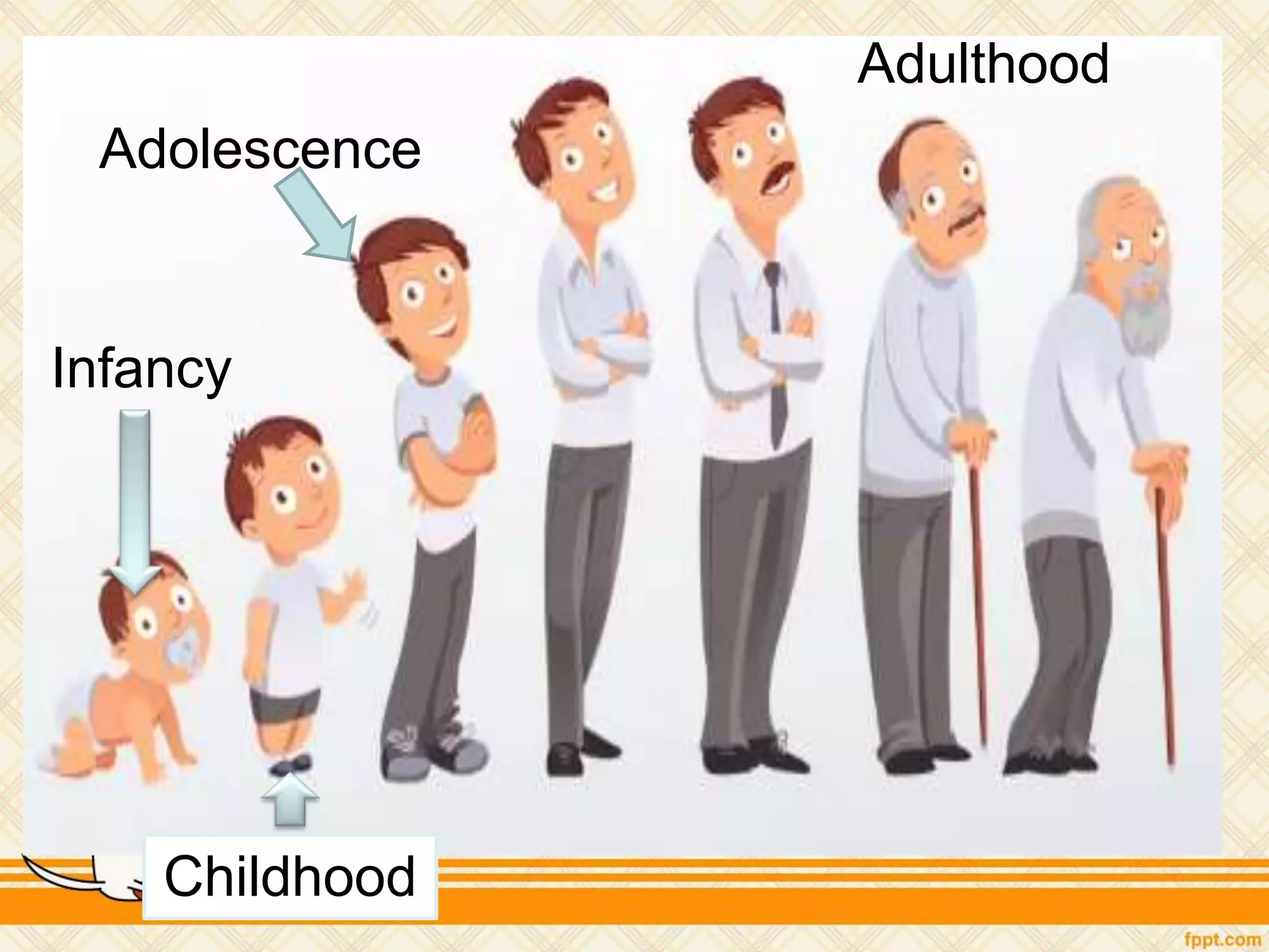 Infancy
Childhood
Adolescence
Adulthood
 