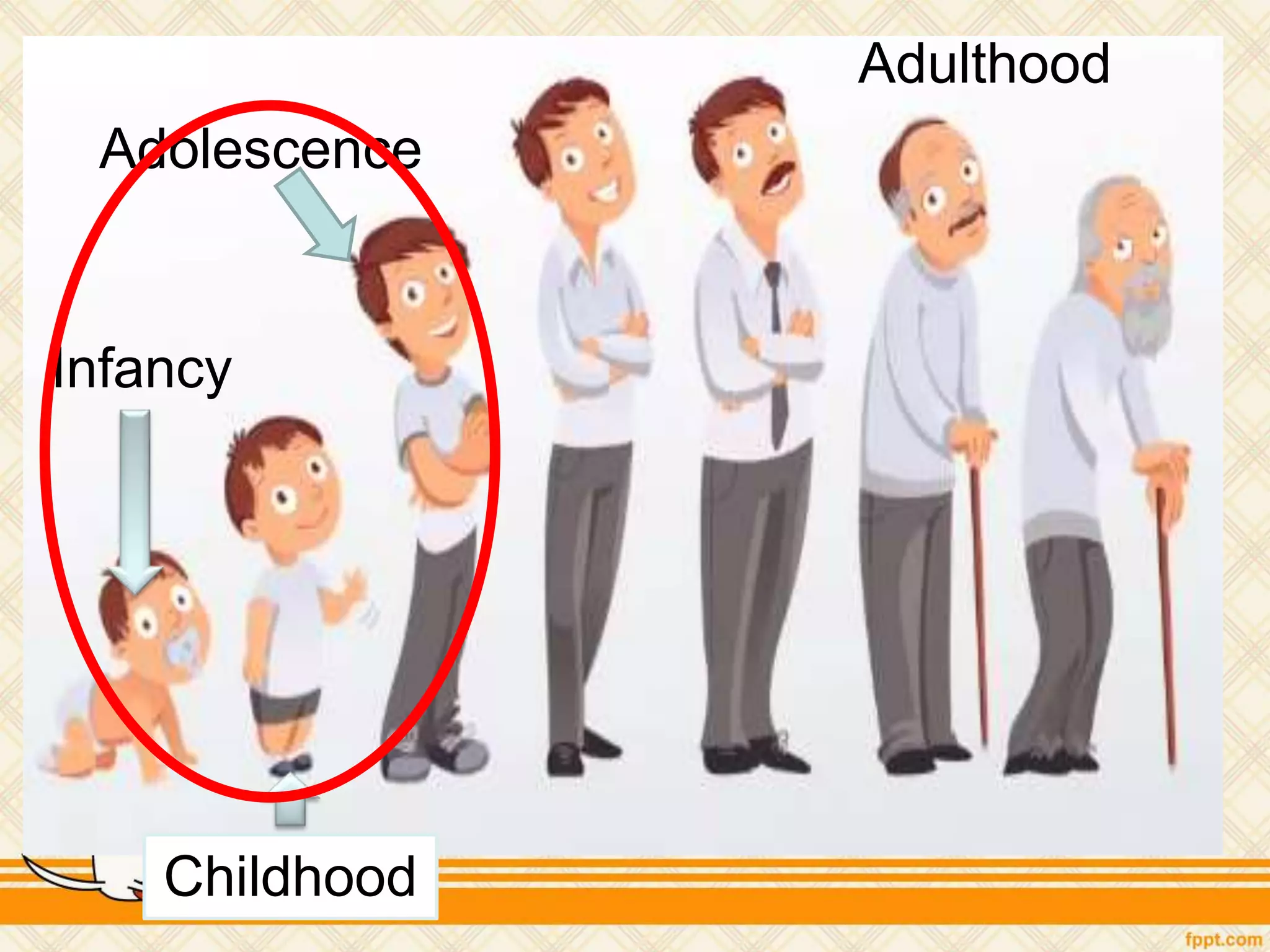 Infancy
Childhood
Adolescence
Adulthood
 